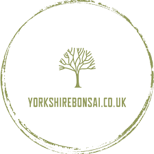 Yorkshire Bonsai Coupons